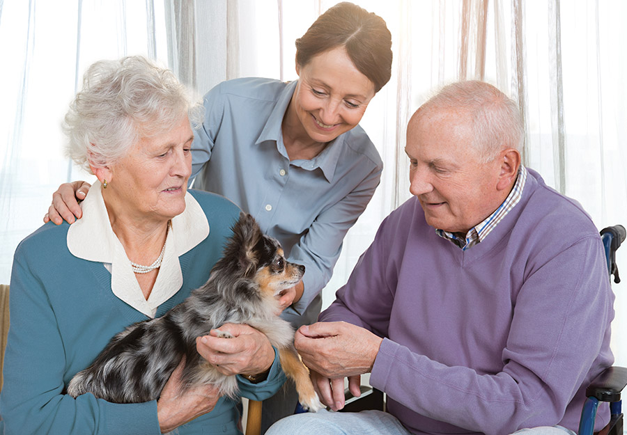 An endearing image capturing an elderly couple, their devoted caregiver, and an adorable puppy in the heartwarming setting of an Modesto assisted living facility
